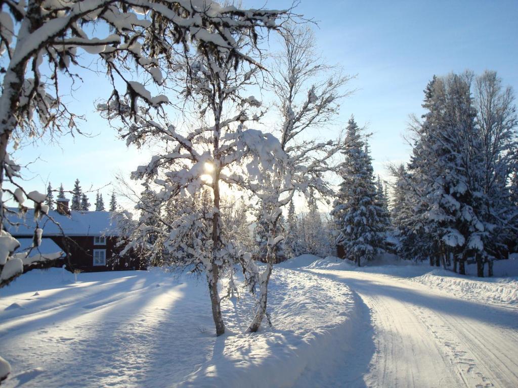 Villa Fjaellriket Baggården Exterior foto